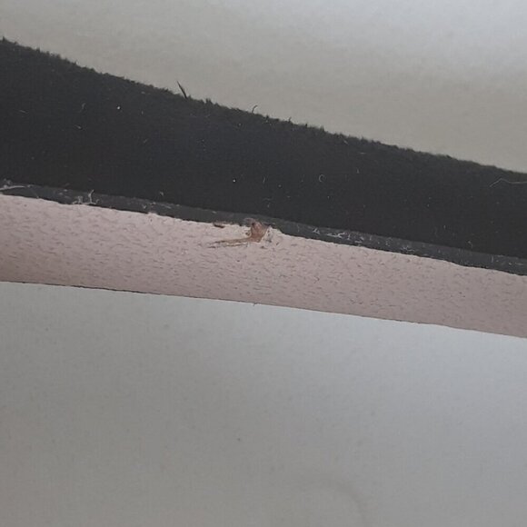 Jessica Simpson Leevie Perforated Black Pointed Toe Heels 9M Office Party Event - Picture 9 of 13